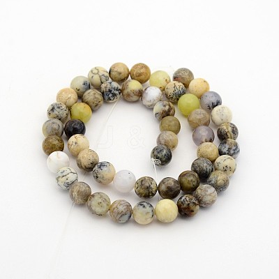 Natural Moss Agate Round Bead Strands G-P070-60-4mm-1