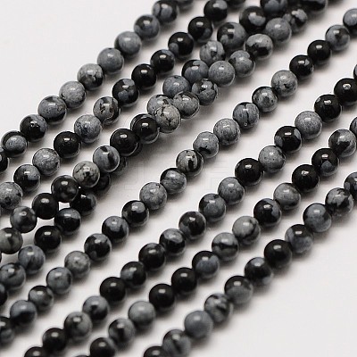 Natural Snowflake Obsidian Round Bead Strands G-A130-3mm-17-1
