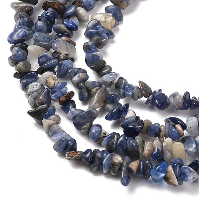 Natural Sodalite Chips Beads Strands X-F024-1