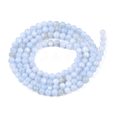 Natural Freshwater Shell Beads Strands X-BSHE-T009A-01F-1