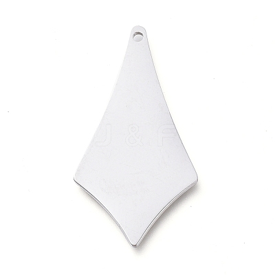 Tarnish Resistant 304 Stainless Steel Pendants STAS-L238-094-P-1
