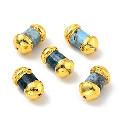 Natural Apatite Beads KK-F836-06G-1