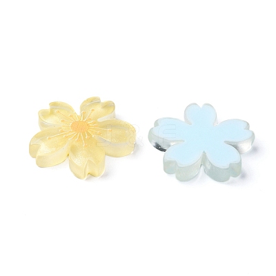 20Pcs 5 Colors Translucent Resin Cabochons OHAR-YW0001-01-1