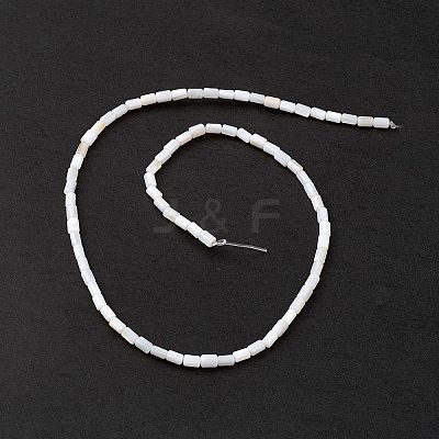 Natural Freshwater Shell Dyed Beads Strands X-SHEL-M018-12-12-1