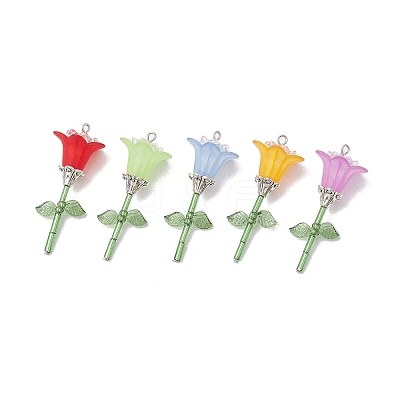 Acrylic & Glass Pendant PALLOY-TA00125-S-1
