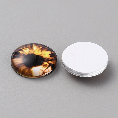 Glass Cabochons LS-GLAA-WH0033-75E-07-1