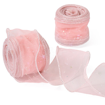 Polyester Deco Mesh Ribbons OCOR-TAC0024-004D-1