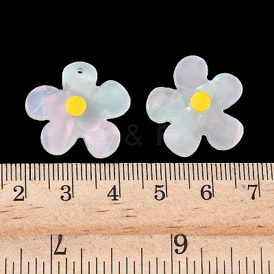 Opaque Acrylic Pendants FIND-K024-02B-1
