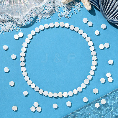 2 Strands Natural Freshwater Shell Beads Strands SSHEL-SC0001-36B-1
