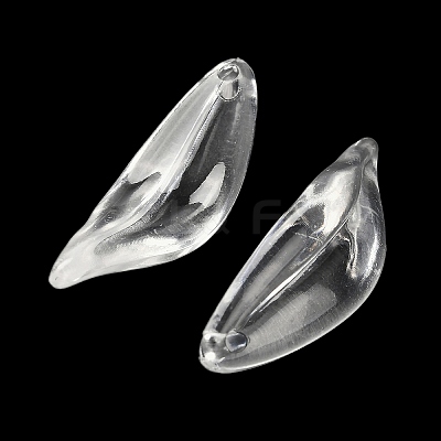 Transparent Acrylic Pendants MACR-K359-30-1