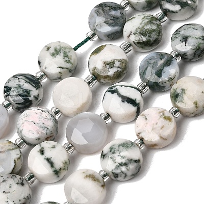 Natural Tree Agate Beads Strands G-D105-A05-1