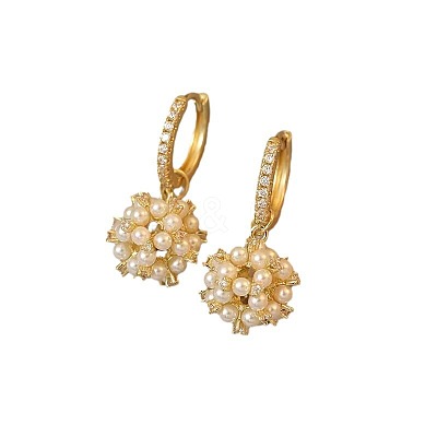 Alloy Rhinestone Hoop Earrings FS-WG20219-01-1