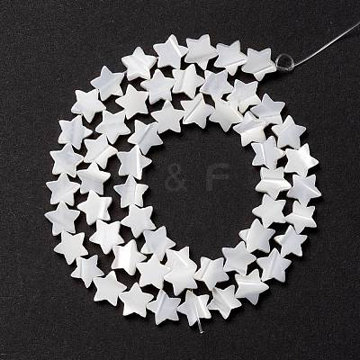 Natural Trochid Shell/Trochus Shell Beads SSHEL-O001-25B-02-1