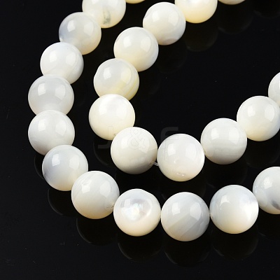 Natural White Shell Bead Strands SSHEL-N003-144H-01-1