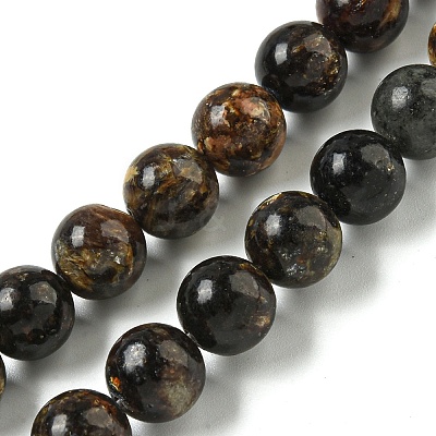 Natural Phlogopite Beads Strands G-P546-A01-04-1