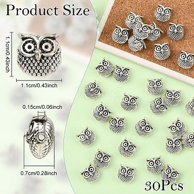 30Pcs Tibetan Style Alloy Beads TIBEP-YW0002-10-1
