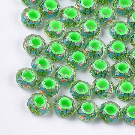 Resin Beads RPDL-S013-04A-1