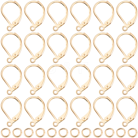 30Pcs 304 Stainless Steel Leverback Earring Findings STAS-BBC0009-22-1
