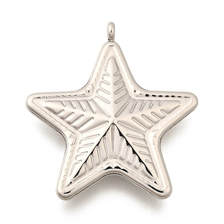 Non-Tarnish 304 Stainless Steel Pendants LS-STAS-C073-03P-1-1