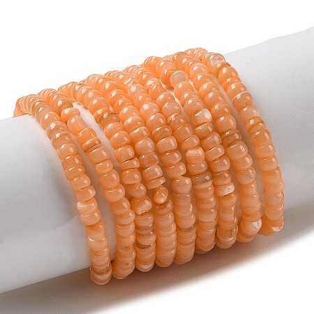 Natural Freshwater Shell Beads Strands SHEL-P017-01B-05-1