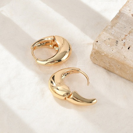 Brass Hoop Earrings for Women EJEW-U041-01G-1