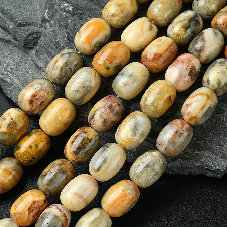 Barrel Shaped Gemstone Natural Crazy Lace Agate Beads Strands G-S114-08-1
