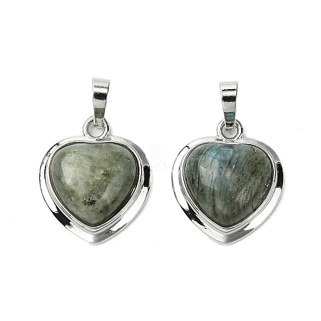 Natural Labradorite Pendants G-C114-03P-20-1