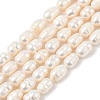 Natural Cultured Freshwater Pearl Beads Strands PEAR-I007-01D-05A-01-2