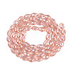 Electroplate Transparent Glass Beads Strands GL-N002-01A-A04-2