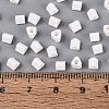 FGB Baking Paint Glass Seed Beads SEED-Q040-09A-01-4