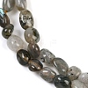 Natural Labradorite Beads Strands G-P497-01B-03-4