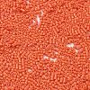 Baking Paint Glass Seed Beads X-SEED-S042-05B-84-3