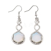 Hexagon Opalite Dangle Earrings EJEW-K298-01P-06-4