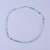 Natural Fluorite Beaded Necklaces NJEW-K114-B-A16-1