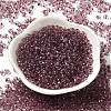 Transparent Colours Glass Seed Beads X1-SEED-P006-02A-13-2