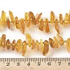 Natural Amber Beads Strands G-L095-D01-03-5