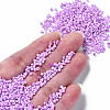 Glass Seed Beads SEED-S060-A-968-4