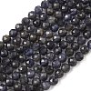 Natural Iolite Beads Strands G-J400-E05-02B-1