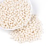 Baking Paint Glass Seed Beads SEED-T007-15A-3