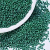 MIYUKI Delica Beads SEED-MY11-DB0656-1