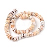 Natural Shell Beads Strands SSHEL-F304-01-3