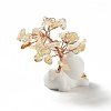 Natural Citrine Tree Display Decorations DJEW-E007-01RC-03-3