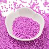 Baking Paint Glass Seed Beads SEED-S042-05B-90-2