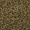 TOHO Round Seed Beads SEED-JPTR08-0262-2