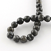 Natural Larvikite Round Beads Strands LS-G-R342-10mm-09-3