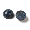 Natural Azurite Cabochons G-Q171-06A-01-2