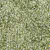6/0 Transparent Inside Colours Glass Seed Round Beads X1-SEED-N006-004H-3