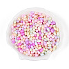 Opaque Colours Luster Glass Seed Beads SEED-N008-02A-M-1