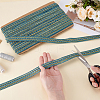 Polyester Braided Ribbons OCOR-WH0120-13A-3