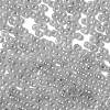 Glass Seed Beads X1-SEED-H002-E-A1420-3